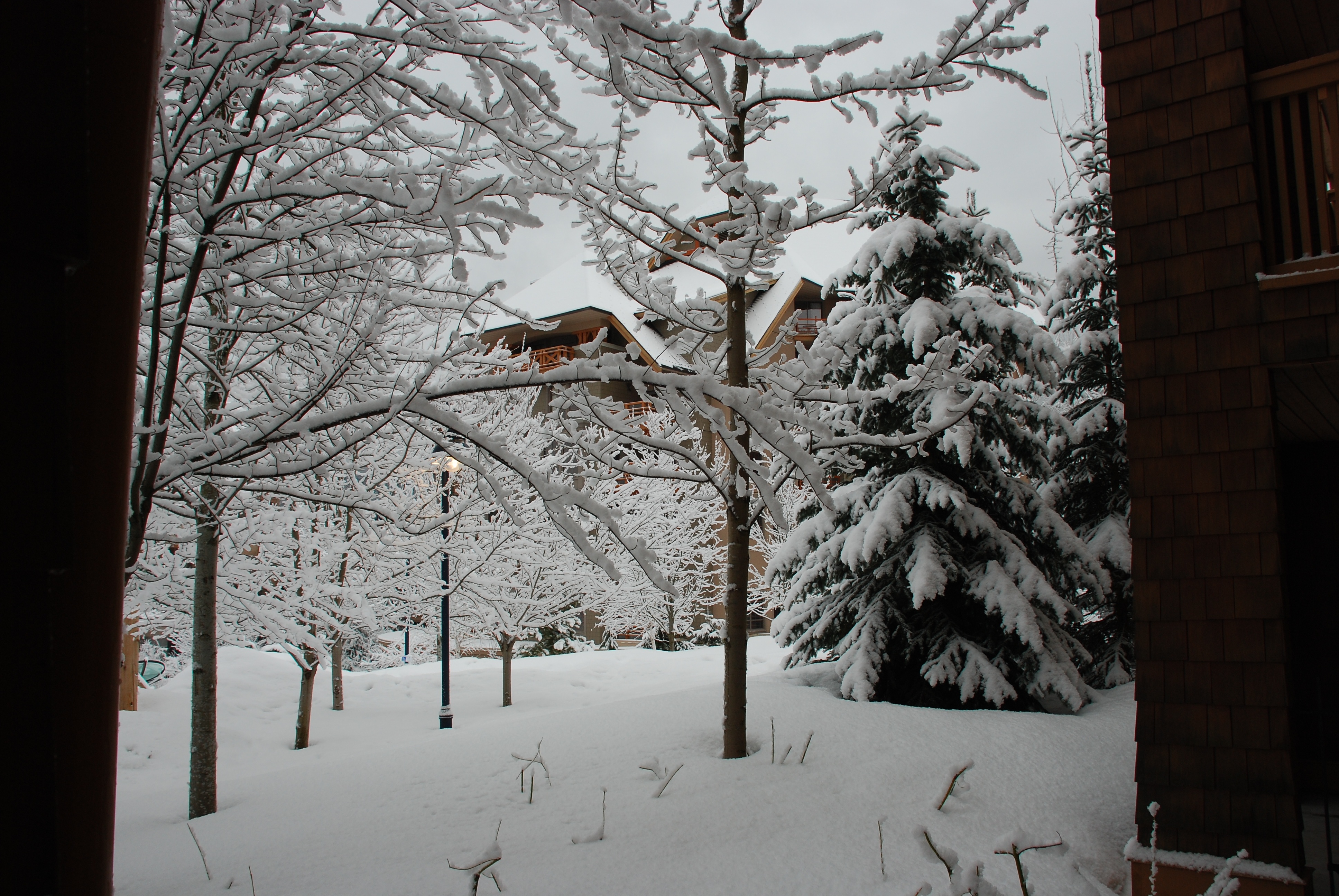 2009-03-WHISTLER WITH MUSSATTOS 12.jpg